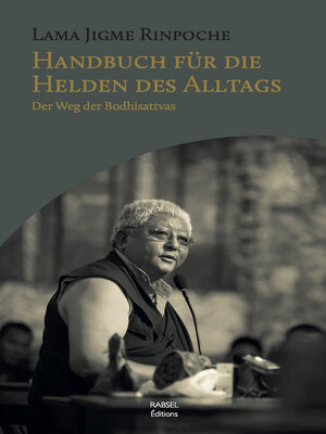 cover image of Handbuch für die Helden des Alltags